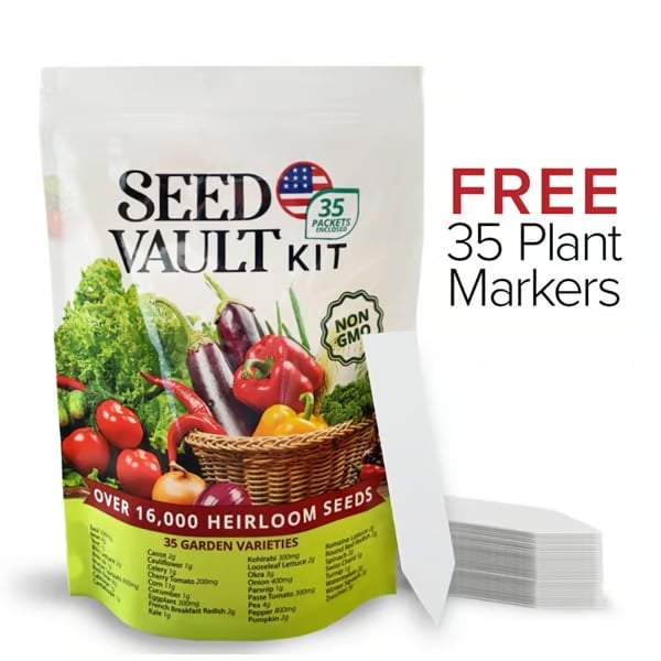 Last Day 49% OFF Vegetable Seed Vault Kit | 35 Variety Pack