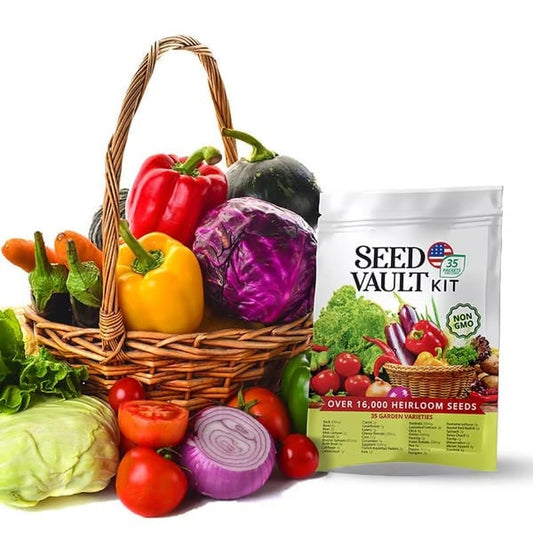 Last Day 49% OFF Vegetable Seed Vault Kit | 35 Variety Pack